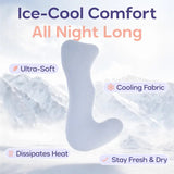BodyAlign Plus Full-Body Support Pillow